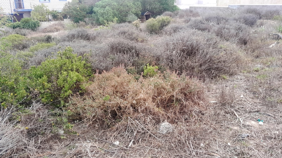 0 Bedroom Property for Sale in Myburgh Park Western Cape
